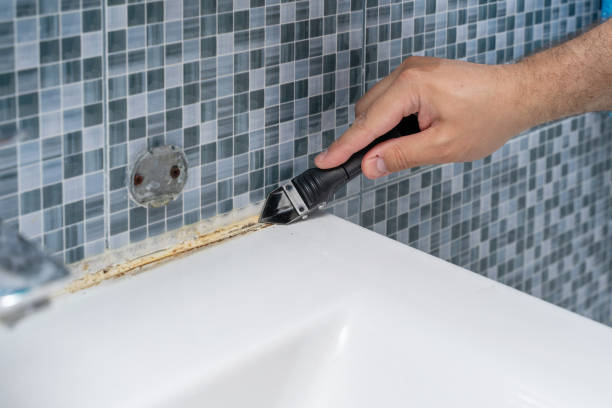 Best Mold Testing  in Surrey, ND