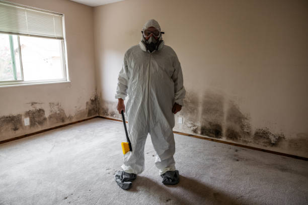 Best Local Mold Removal Service  in Surrey, ND
